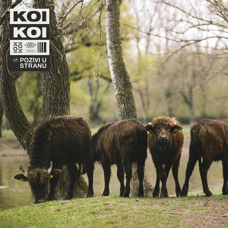 KOIKOI - Pozivi u stranu